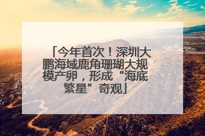 今年首次！深圳大鹏海域鹿角珊瑚大规模产卵，形成“海底繁星”奇观