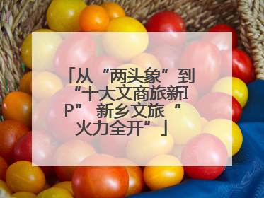 从“两头象”到“十大文商旅新IP” 新乡文旅“火力全开”