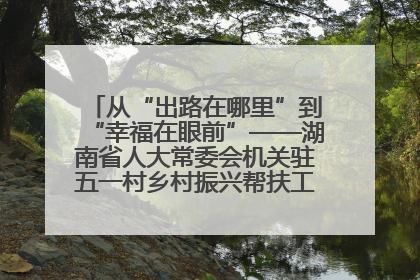 从“出路在哪里”到“幸福在眼前”——湖南省人大常委会机关驻五一村乡村振兴帮扶工作队书写振兴答卷