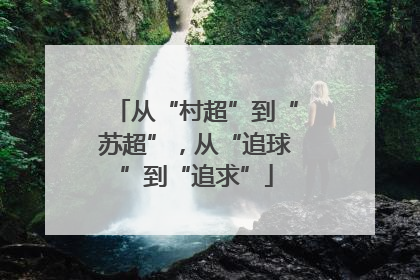 从“村超”到“苏超”，从“追球”到“追求”