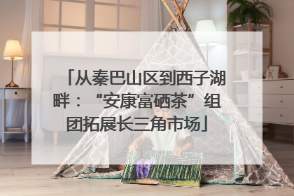 从秦巴山区到西子湖畔：“安康富硒茶”组团拓展长三角市场