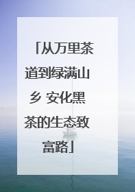 从万里茶道到绿满山乡 安化黑茶的生态致富路