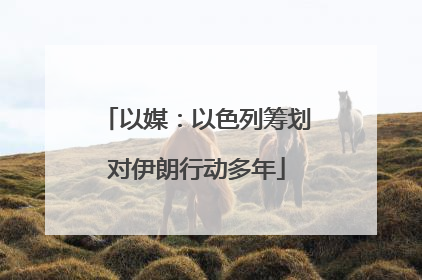 以媒：以色列筹划对伊朗行动多年