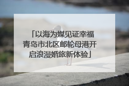 以海为媒见证幸福 青岛市北区邮轮母港开启浪漫婚旅新体验