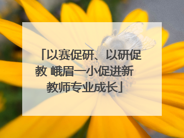 以赛促研、以研促教 峨眉一小促进新教师专业成长
