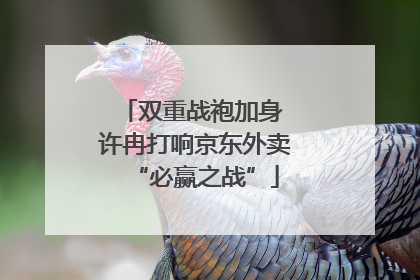 双重战袍加身 许冉打响京东外卖“必赢之战”
