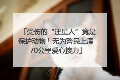 受伤的“汪星人”竟是保护动物！无为警民上演70公里爱心接力