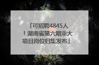 可招聘4845人！湖南省第六期重大项目岗位归集发布