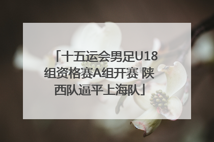 十五运会男足U18组资格赛A组开赛 陕西队逼平上海队