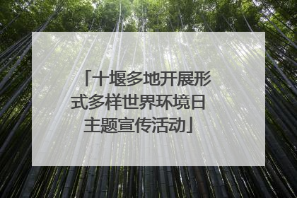 十堰多地开展形式多样世界环境日主题宣传活动