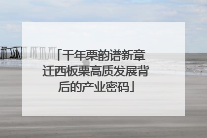 千年栗韵谱新章 迁西板栗高质发展背后的产业密码