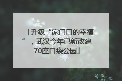 升级“家门口的幸福”，武汉今年已新改建70座口袋公园