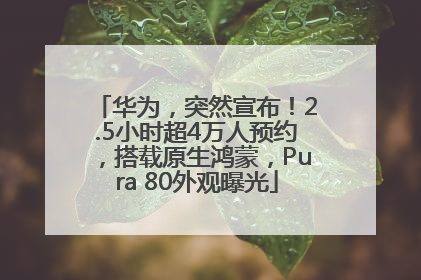 华为，突然宣布！2.5小时超4万人预约，搭载原生鸿蒙，Pura 80外观曝光