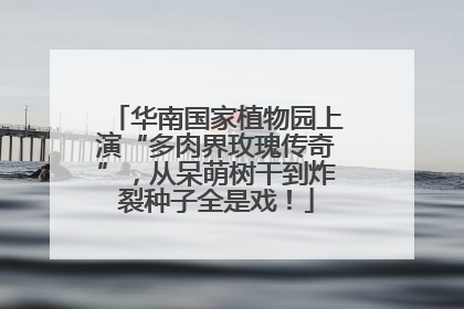 华南国家植物园上演“多肉界玫瑰传奇”，从呆萌树干到炸裂种子全是戏！
