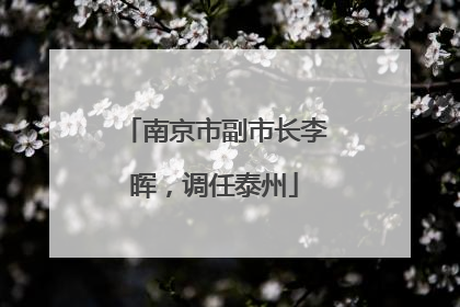 南京市副市长李晖，调任泰州