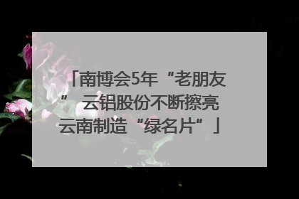 南博会5年“老朋友” 云铝股份不断擦亮云南制造“绿名片”
