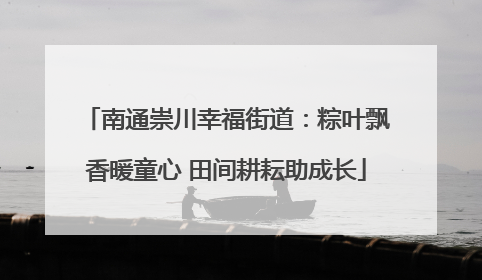 南通崇川幸福街道：粽叶飘香暖童心 田间耕耘助成长