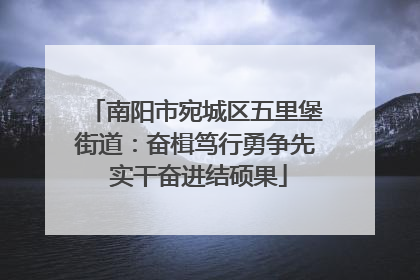南阳市宛城区五里堡街道：奋楫笃行勇争先 实干奋进结硕果