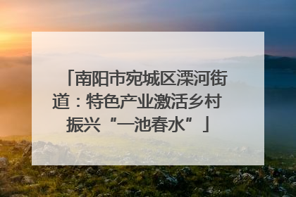南阳市宛城区溧河街道：特色产业激活乡村振兴“一池春水”