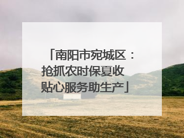 南阳市宛城区：抢抓农时保夏收 贴心服务助生产