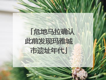 危地马拉确认此前发现玛雅城市遗址年代