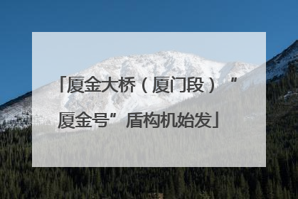 厦金大桥（厦门段）“厦金号”盾构机始发
