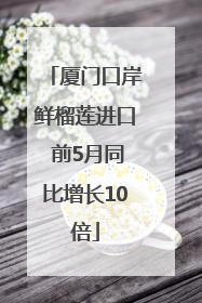 厦门口岸鲜榴莲进口 前5月同比增长10倍