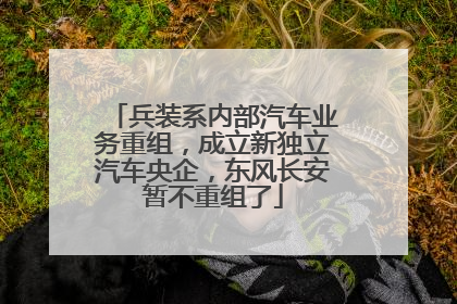 兵装系内部汽车业务重组，成立新独立汽车央企，东风长安暂不重组了