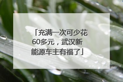 充满一次可少花60多元，武汉新能源车主有福了