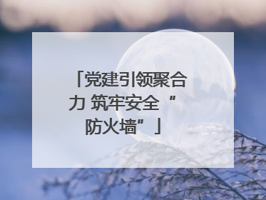 党建引领聚合力 筑牢安全“防火墙”