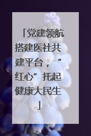 党建领航搭建医社共建平台，“红心”托起健康大民生