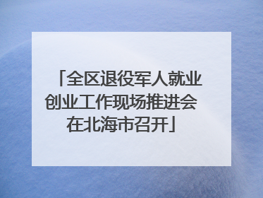 全区退役军人就业创业工作现场推进会在北海市召开