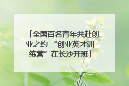 全国百名青年共赴创业之约 “创业英才训练营”在长沙开班