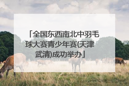 全国东西南北中羽毛球大赛青少年赛(天津武清)成功举办