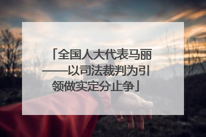 全国人大代表马丽——以司法裁判为引领做实定分止争