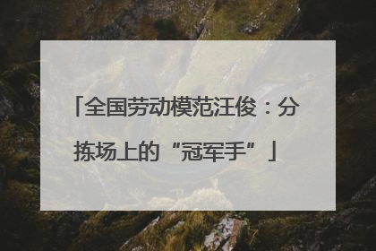 全国劳动模范汪俊：分拣场上的“冠军手”