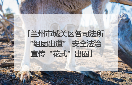 兰州市城关区各司法所“组团出道” 安全法治宣传“花式”出圈