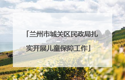 兰州市城关区民政局扎实开展儿童保障工作