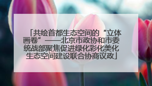 共绘首都生态空间的“立体画卷”——北京市政协和市委统战部聚焦促进绿化彩化美化生态空间建设联合协商议政