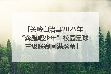 关岭自治县2025年“奔跑吧少年”校园足球三级联赛圆满落幕