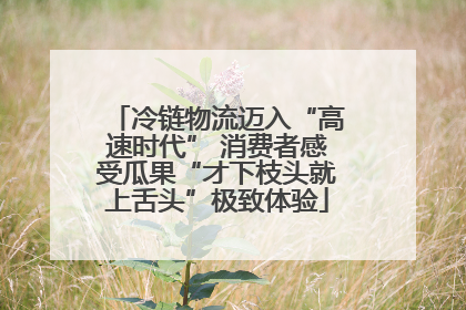 冷链物流迈入“高速时代” 消费者感受瓜果“才下枝头就上舌头”极致体验