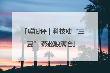 冀时评｜科技助“三夏” 燕赵粮满仓