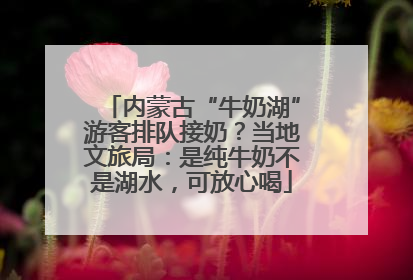 内蒙古“牛奶湖”游客排队接奶？当地文旅局：是纯牛奶不是湖水，可放心喝