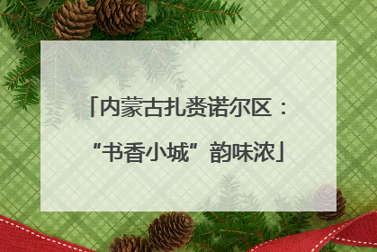 内蒙古扎赉诺尔区：“书香小城”韵味浓