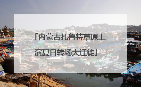 内蒙古扎鲁特草原上演夏日转场大迁徙