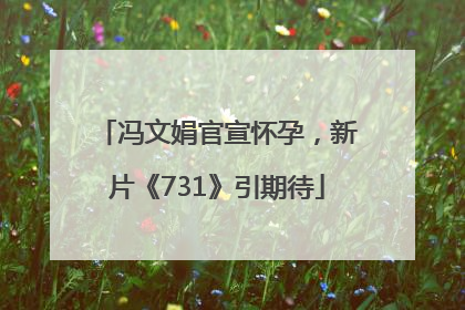 冯文娟官宣怀孕，新片《731》引期待
