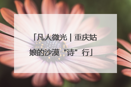 凡人微光｜重庆姑娘的沙漠“诗”行