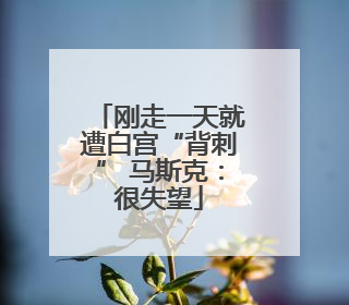 刚走一天就遭白宫“背刺” 马斯克：很失望