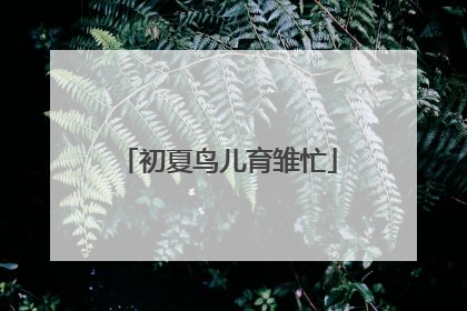 初夏鸟儿育雏忙