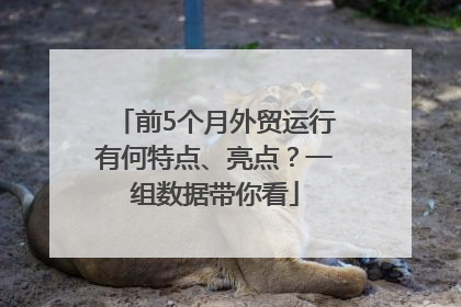 前5个月外贸运行有何特点、亮点？一组数据带你看